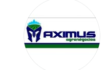 Maximus Agronegócios